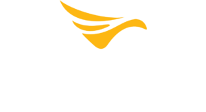 volatusaerospace